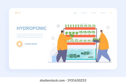 Male and female characters are working on hydroponic production. Man and woman producing food using hydroponic method. Website, web page, landing page template. Flat cartoon vector illustration