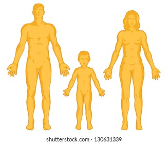 Male, Female, Child Body Shapes, Human Body Outline, Posterior And Anterior View, Full Body