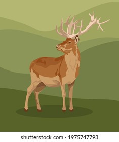male and female European fallow deer. Deer brown or red deer. Wild animals of Europe, America and Scandinavia. Vector illustration of a young sika deer grazing in a forest glade