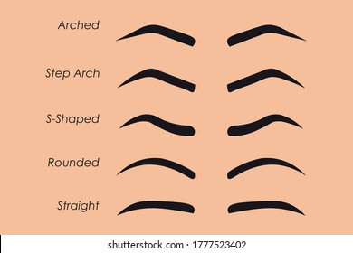 Male and female eyebrows of different shapes and types. Vector illustration.