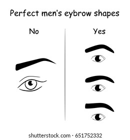 Male and female eyes and eyebrows vector elements. Human eyeball and look illustration.