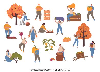 Male and Female Farmers Characters Harvesting on Farm. Vector illustration with small people for web page, presentation, print, banner. Farming, harvesting, collecting vegetables.