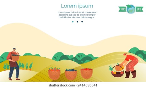 Male and female farmers harvest vegetables in field. Man carries basket full, woman bends over basket, organic farming. Eco-friendly agriculture and sustainable farming vector illustration.