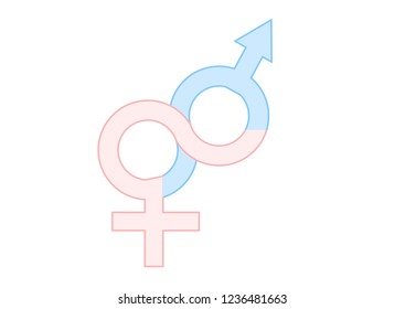 male and female gender icon. vector illustration.