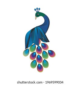 Male and female peacock on white background. Hand drew vintage vector illustration in watercolour style