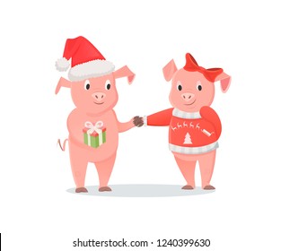 Male and female piglets, pigs in hat and bow, New Year or Christmas holiday. Animal exchange gift, livestock mammals, zodiac symbol vector illustration