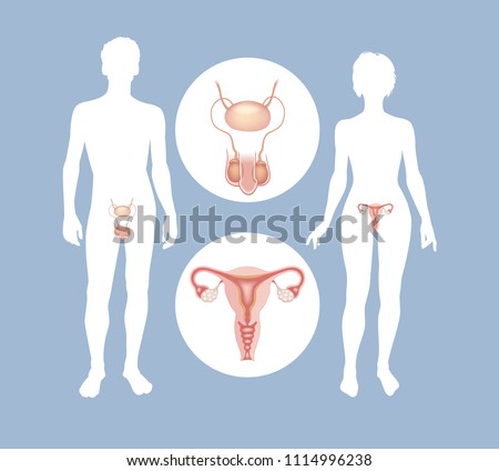 man and woman joint sexual organ Hande yener porn