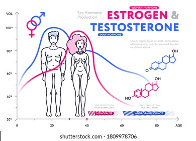 Male and female sex hormone production line chart. Man testosterone and woman estrogen level by age, menopause and andropause comparison. Human body health infographic vector illustration