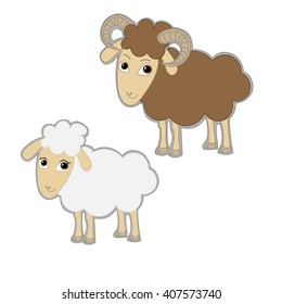 Male and female sheeps