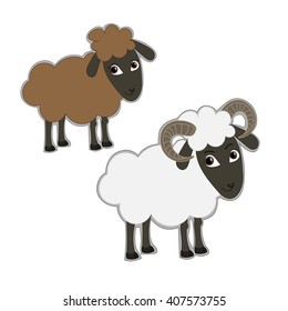 Male and female sheeps