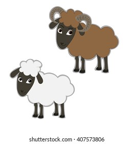 Male and female sheeps