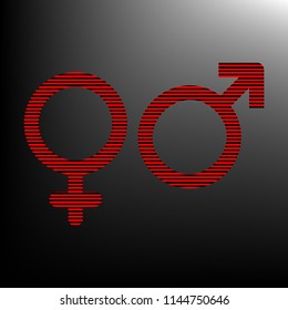 Male and female signs. Vector. Striped red and black icon at gradient blackish background. Zebra.