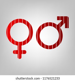 Male and female signs. Vector. Vertically divided icon with colors from reddish gradient in gray background with light in center.