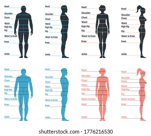 Male And Female Size Chart Anatomy Human Character, People Dummy Front And View Side Body Silhouette, Isolated On White, Flat Vector Illustration. Cartoon Mannequin People Dimension Scale.