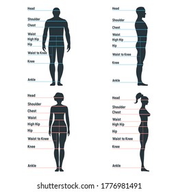 Male and female size chart anatomy human character, people dummy front and view side body silhouette, isolated on white, flat vector illustration. Cartoon mannequin people dimension scale.