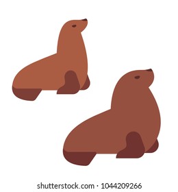 Male and female Southern sea lions, flat cartoon vector style illustration. Simple stylized isolated clip art drawing.