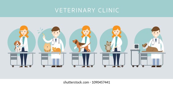 Male & Female Veterinarian Checkup Pet, Cats and Dogs, Vaccination, Clinic