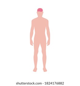 Male figure infographic element with brain of nervous system, flat vector illustration isolated on white background. Anatomical structure of human body organs banner.