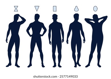 Male figure types silhouette. Men body structure, geometric shape symbol, triangle, hourglass, round and rectangle. Boy chest, waist and hips proportion. Poster infographic. Vector concept