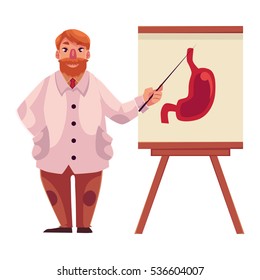 Male gastroenterologist in lab coat pointing to stomach on poster, cartoon vector illustration isolated on white background. Male gastroenterologist doctor standing next to stomach poster with pointer