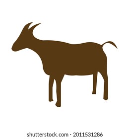male goat to be slaughtered, Eid al-Adha