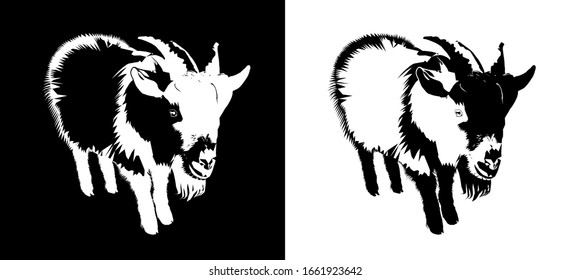 Male Goat, low poly triangular and wireframe vector illustration isolated on black and white background.  Polygonal style trendy modern logo design. Suitable for printing on a t-shirt., low poly trian