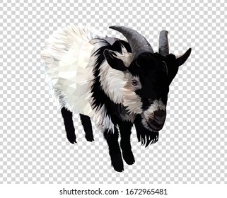 Ilustración vectorial de cabra macho, triangular de baja polilla y alambre aislada en fondo transparente.  Diseño de logo moderno de estilo poligonal.