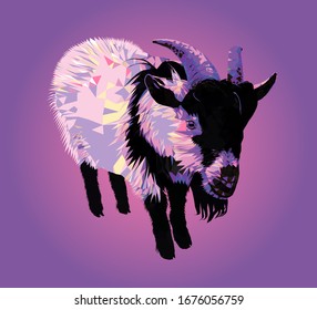 Male Goat, low poly triangular and wireframe vector illustration isolated on pink background. Polygonal style trendy modern logo design. Suitable for printing on a t-shirt.
