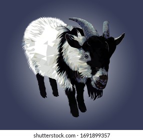 Male Goat, low poly triangular and wireframe vector illustration isolated on dark background. Polygonal style trendy modern logo design. Suitable for printing on a t-shirt