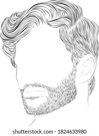 Male hairstyle and beard vector drawing, black and white hand drawn illustration