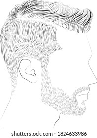 Male hairstyle and beard vector drawing, black and white hand drawn illustration