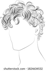 Male Hairstyle Curly Hair Hand Drawn Stock Vector (Royalty Free) 1824634532  | Shutterstock