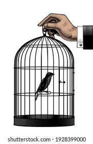 Male hand holding cage and canary  Vintage engraving stylized drawing  Vector illustration
