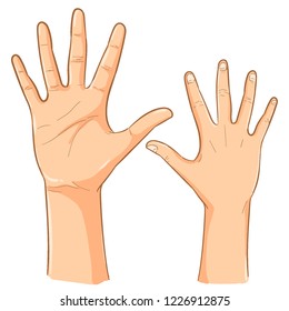 Male Hand Illustration