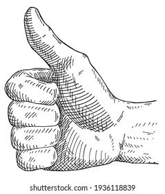 Male hand showing symbol like isolated on a white background. Vintage vector black hatching illustration isolated on white background. Hand drawn design for t-shirt