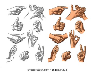 Male Hand Sign. Like, Handshake, Ok, Stop, Victory, Pointing, Applause Gesture. Vector Color And Black Vintage Engraving Illustration Isolated White Background