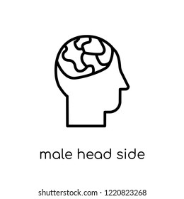 male head side view with brains icon. Trendy modern flat linear vector male head side view with brains icon on white background from thin line Human Body Parts collection, outline vector illustration