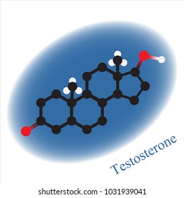 Male hormone  - testosterone . Vector 