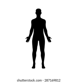 Male Human Body Flat Vector Icon For Medical App And Website