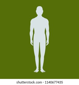 Male Human Body Silhouette Shadow Vector Stock Vector (Royalty Free ...