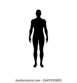 Male human body silhouette vector flat illustration design.