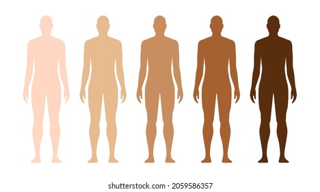 Male Human Model With Different Skin Tones. Human Race Skin Color Examples Vector Illustration, Isolated On White Background.