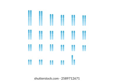 Male Karyotype Science Design. Vector Illustration.