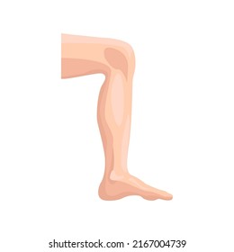 Male leg flat icon. Colored vector element from body parts collection. Creative Male leg icon for web design, templates and infographics.