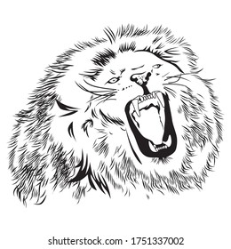 Male Lion a handdraw and sketch vector illustration.