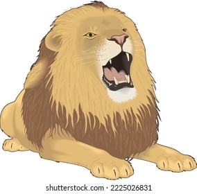 Male Lion Roaring Vector Illustration