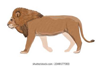 Male lion with thick mane. Realistic carnivorous animal of Africa