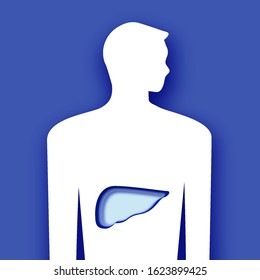 Male liver. Anatomy of human body in paper cut style. Medical symbol. Blue background