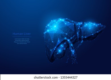 Male liver organ. Low poly wireframe medical dark blue background or concept. Digital vector illustration. Medicine and health. Abstract image of human liver in starry sky style. The internal organs.