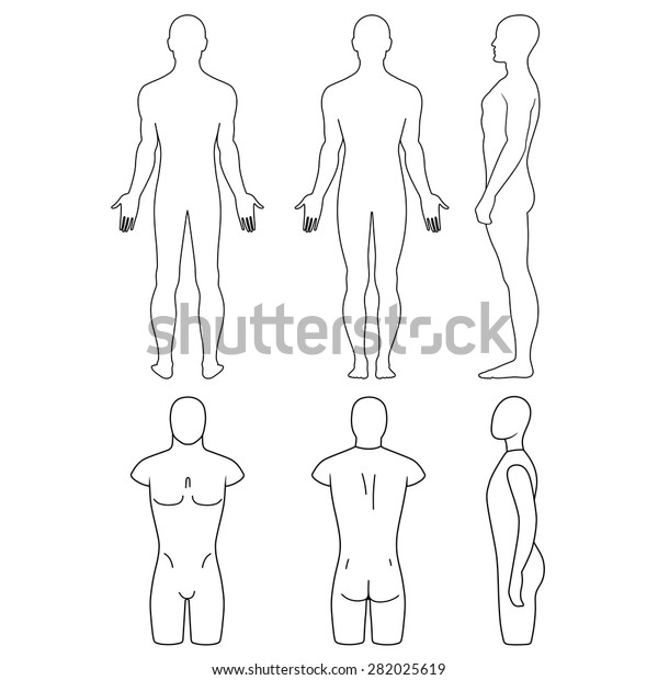 Male mannequin outlined torso\
(front, back, side view). Vector illustration isolated on white\
background. You can use this image for fashion design and\
etc.